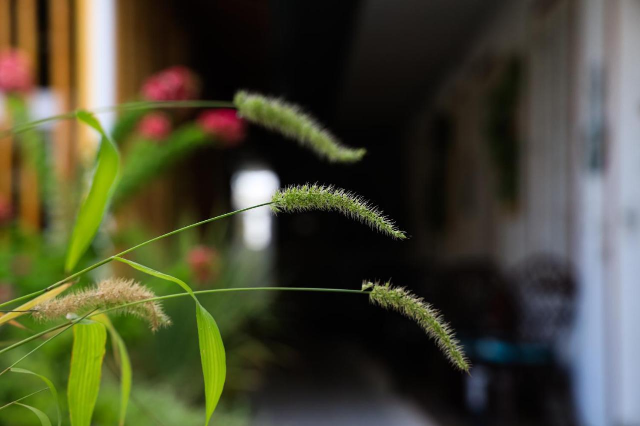 Hevana Holidays Keyodhoo  外观 照片